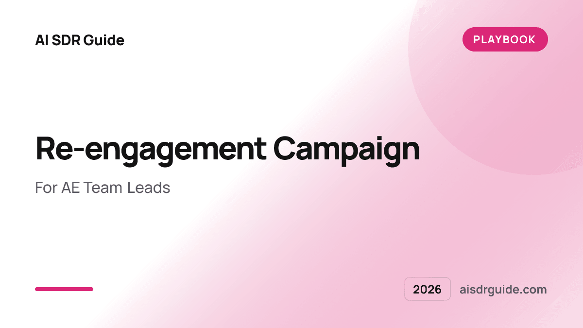 Re-engagement Campaign Playbook 2026 for AE Team Leads